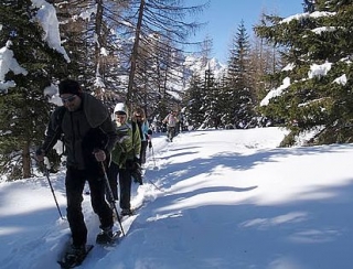  Rutas temáticas con raquetas de nieve 